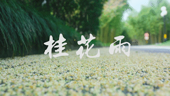 微信图片_20181130110700.gif